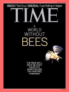 July 2014 A World Without Bees Time Magazine
